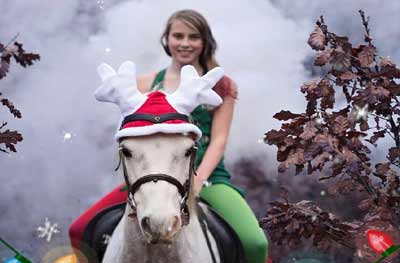 Christmas in London with horse