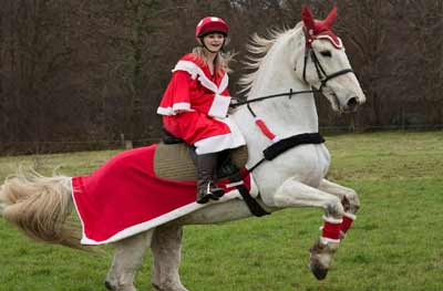 Christmas in London with horse