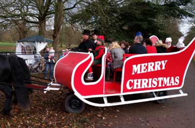 Christmas in London with horse