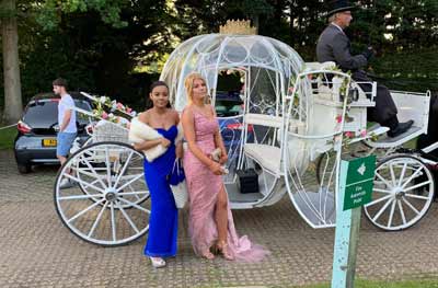 Cinderella Carriage Horse Drawn Carriage