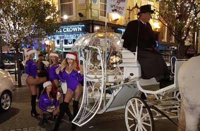 Cinderella Carriage Horse Drawn Carriage