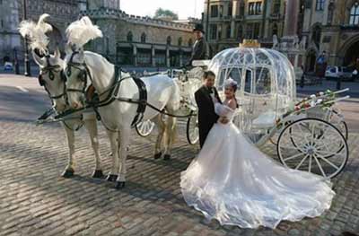 Cinderella Carriage Horse Drawn Carriage