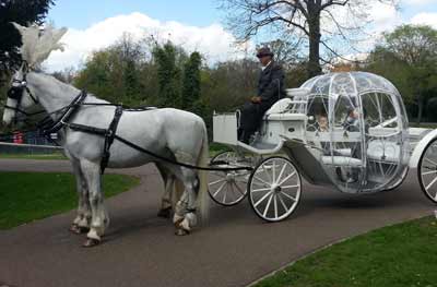 Cinderella Carriage Horse Drawn Carriage