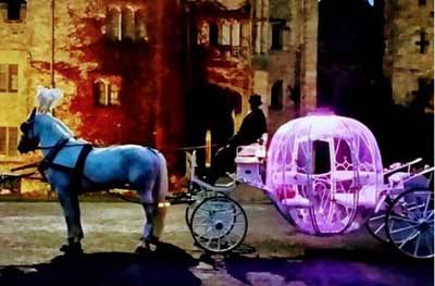 Cinderella Carriage Horse Drawn Carriage