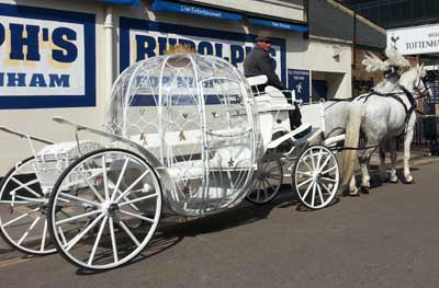 Cinderella Carriage Horse Drawn Carriage