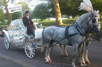 Cinderella Carriage Horse Drawn Carriage