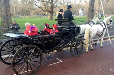 wedding Horse Drawn Carriage