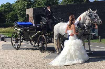 wedding Horse Drawn Carriage