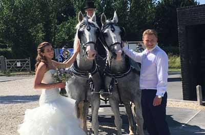 wedding Horse Drawn Carriage