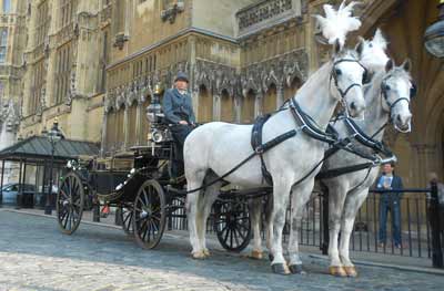 wedding Horse Drawn Carriage