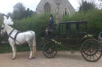 wedding Horse Drawn Carriage