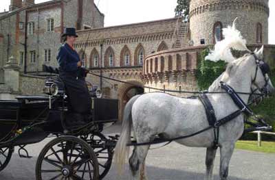 wedding Horse Drawn Carriage