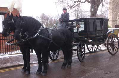 wedding Horse Drawn Carriage