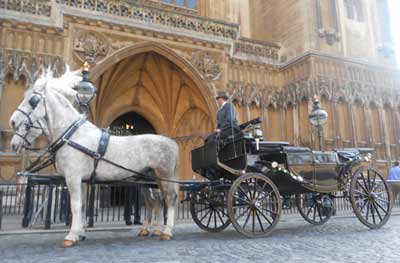 wedding Horse Drawn Carriage