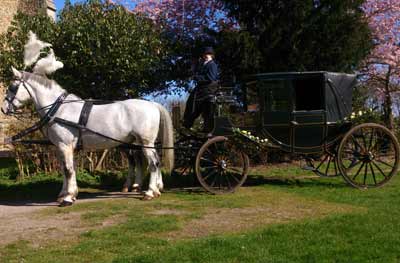 wedding Horse Drawn Carriage