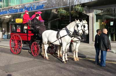 Private Hire bus horse