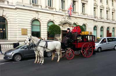 Private Hire bus horse
