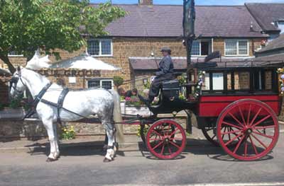 Private Hire bus horse