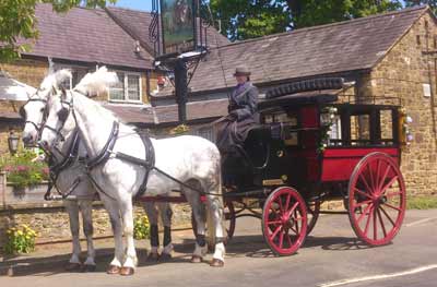 Private Hire bus horse