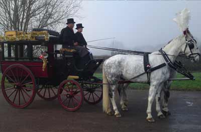Private Hire bus horse