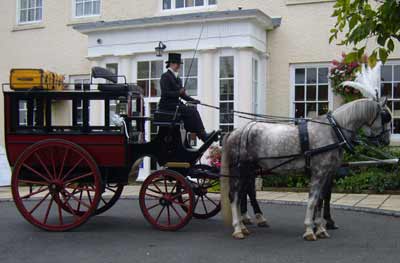 Private Hire bus horse