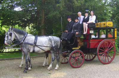 Private Hire bus horse