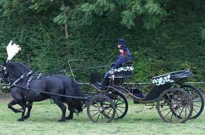 Victoria Horse Drawn Carriage 