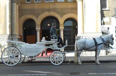 wedding White Landau Open Horse Drawn Carriage 