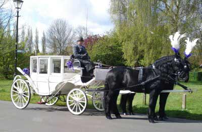 Wedding White Landau Close Horse Drawn Carriage 
