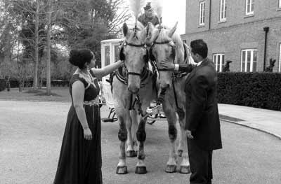 Wedding White Landau Close Horse Drawn Carriage 
