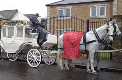 Wedding White Landau Close Horse Drawn Carriage 
